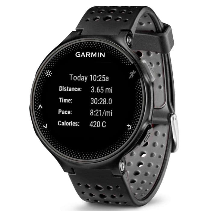 Garmin Forerunner 325