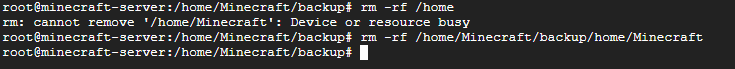 Terminal showing rm -rf /home returning 'cannot remove /home/Minecraft: Device or resource busy', then a corrected rm command with the full path